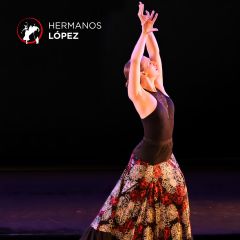 Flamenco Estilizado